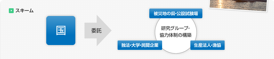 スキーム。国が委託をする。「被災地の県・公設試験場」「生産法人・漁協」「独法・大学・民間企業」の研究グループ・協力体制の構築をする。