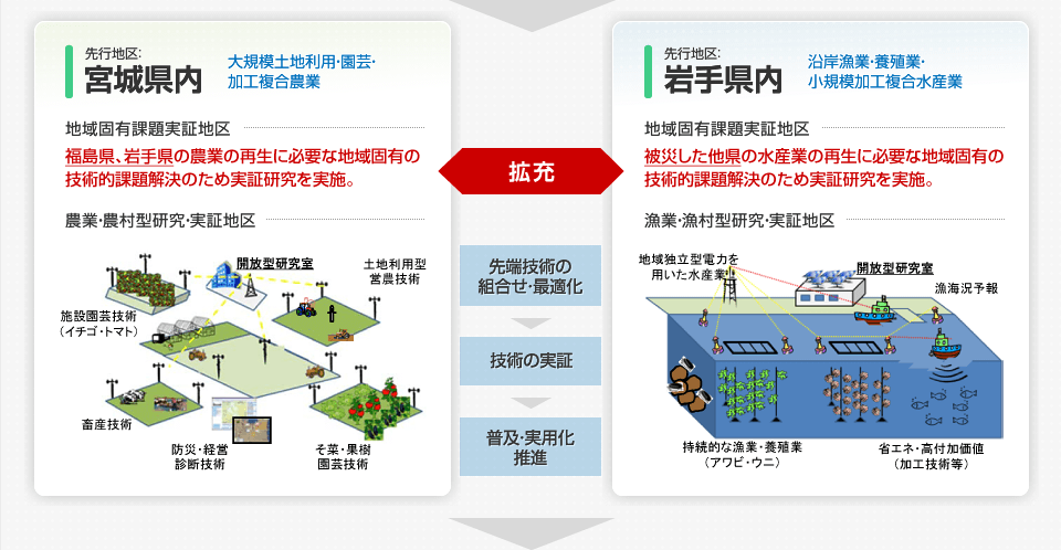 「農業・農村型」「漁業・漁村型」の研究・実証地区を設定、研究を実施